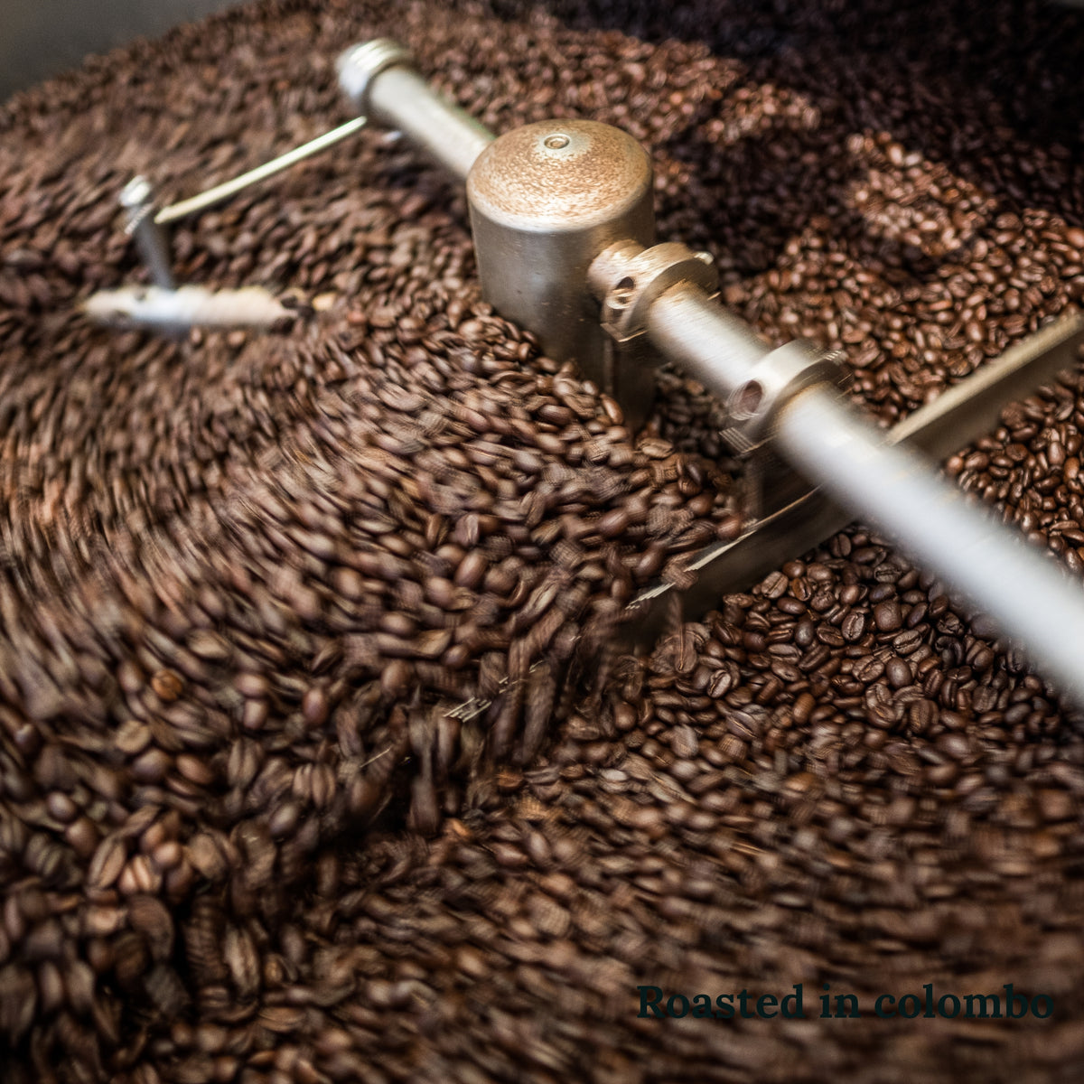 Production roasting at The Beans Coffee Roastery in Colombo